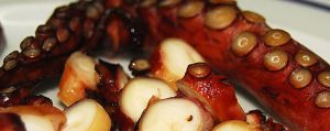 El 'Pulpo Seco de Adra' tendrá reconocimiento europeo