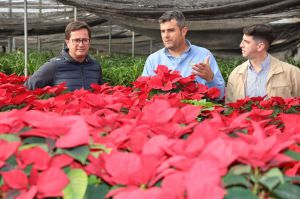 Campaña de primavera de plantas ornamentales se extiende hasta junio