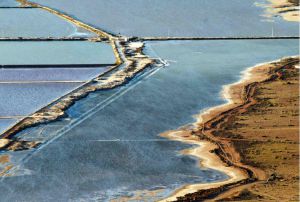 Descubre el proceso de extracción de sal en Almería