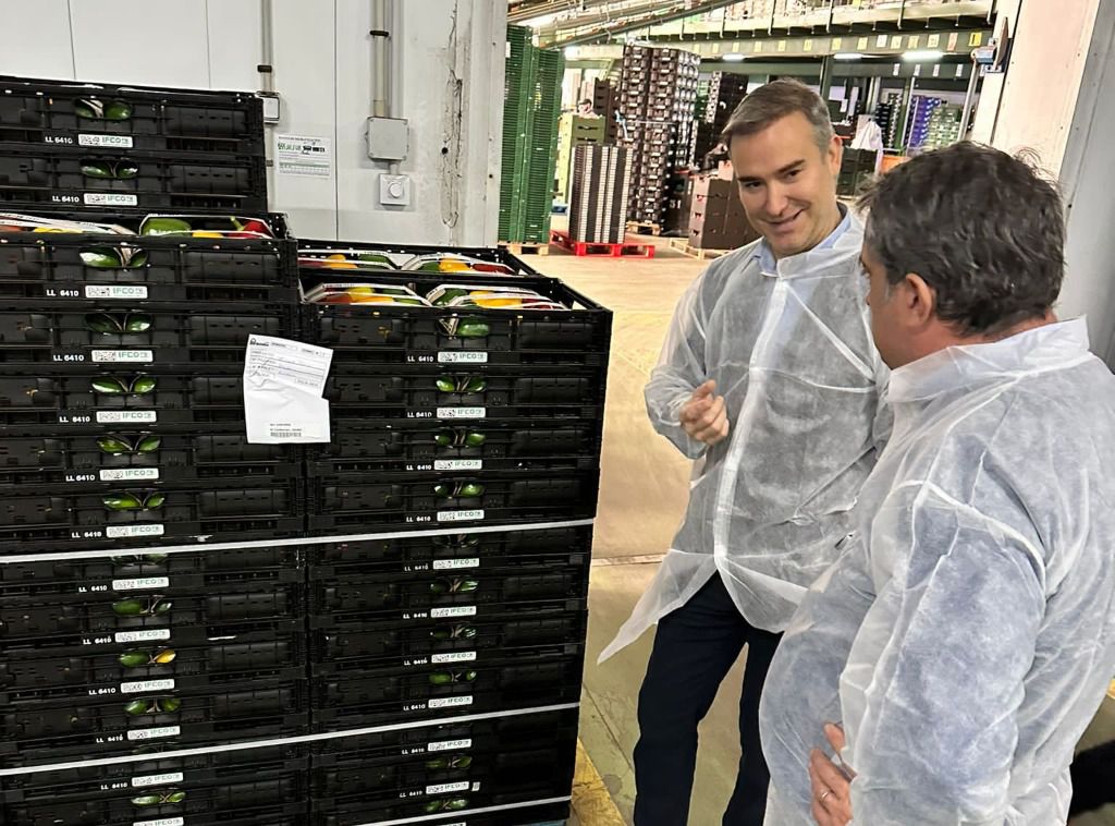 Empleo impulsa la economía social con 3.9 millones en ayudas