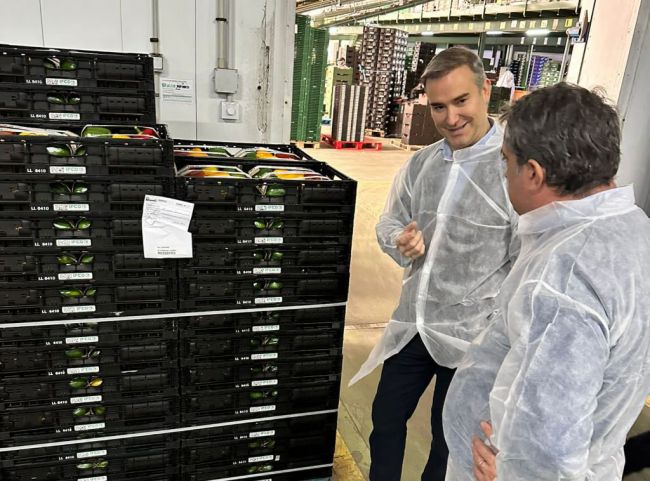 Empleo impulsa la economía social con 3.9 millones en ayudas