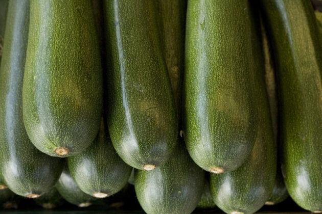 Inspecciones para evitar comercialización irregular del calabacín