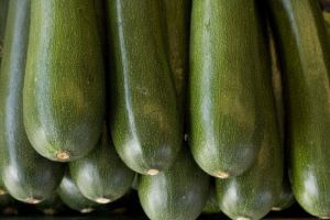 Inspecciones para evitar comercialización irregular del calabacín