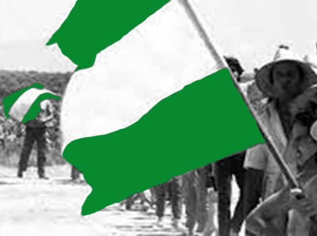 Algo tendrá el andalucismo