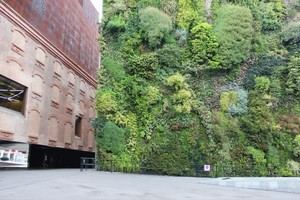 Las paredes verdes mejoran el estado de ánimo y refrescan el ambiente