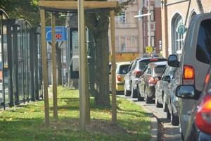 Diseño inteligente de espacios verdes urbanos podría reducir el ruido en las ciudades