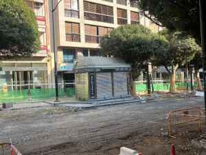 Vox ve demora en las obras del Paseo y el PP dice que no