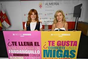 Más de 1.200 almerienses sufren un ictus cada año