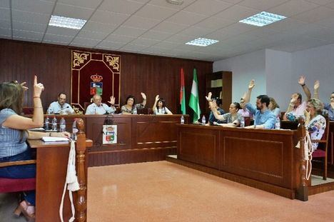 El pleno de Vícar aprueba pedir la rebaja fiscal para agricultores