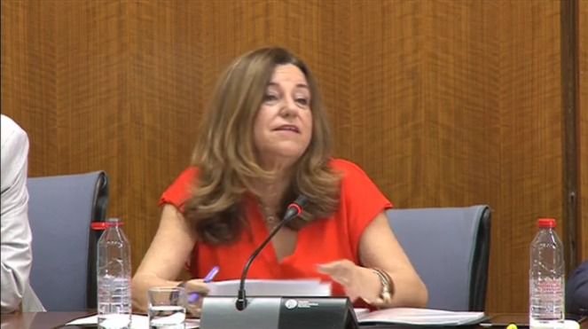 Benahadux seguirá sin Bachillerato