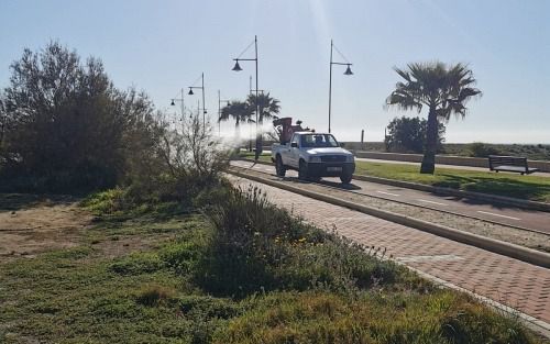 Salud descarta la circulación del virus del Nilo occidental en Andalucía en la última semana