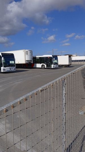 La Junta lanza autobuses que conectan el interior de Almería con sus playas