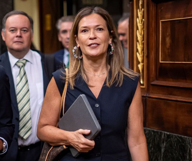 El PP lamenta que Óscar Puente siga sin dar respuesta las necesidades de Almería