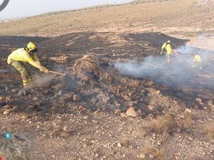 Incendio forestal en Coto Moreta de Gérgal