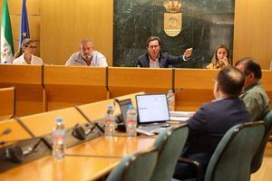 El Pleno de El Ejido exige al Gobierno central frenar la inmigración irregular