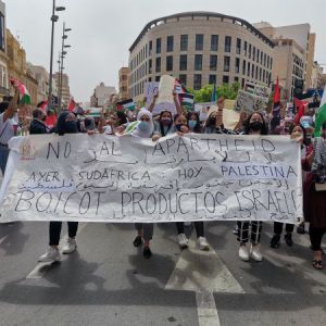 Constituida en Almería la plataforma 'Almería por Palestina'