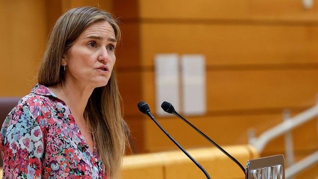 Investigación del apagón tomará de tres a seis meses, estima el Gobierno