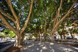 Aplazan el inicio del paso de peatones en la Vía Parque de Almería