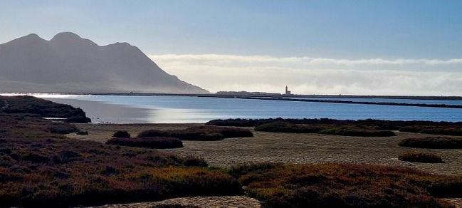 La Junta destina medio millón de euros a un proyecto para proteger los humedales almerienses