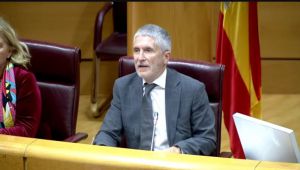 Marlaska alude al caso mascarillas de Almería para defenderse en el Senado