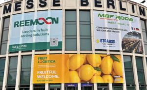 La Cámara de Comercio impulsa la internacionalización de las empresas locales en Fruit Logistica 2026