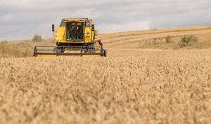 Almería recibirá parte de los 685 millones en ayudas por inundaciones agrícolas