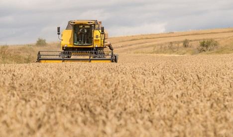 Almería recibirá parte de los 685 millones en ayudas por inundaciones agrícolas