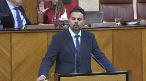 El PSOE lleva al Parlamento la situación insostenible del Tribunal de Instancia de Berja