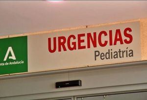 El fuerte viento causa daños en Torrecárdenas y en centros escolares de la capital