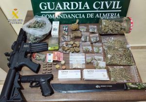 Dieciséis detenidos en ofensiva contra el crimen en Poniente