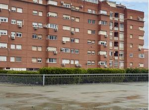 Propuestas del PSOE: seguridad y limpieza en Nueva Andalucía