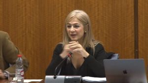 Seis siglos de legado: Almería celebra el impacto cultural del pueblo gitano