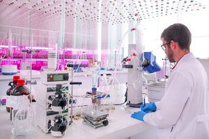 Una investigación con sello almeriense halla en la orina la clave para detectar el daño renal por lupus