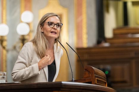 PP exige acción del Gobierno ante la Piel de Mariposa