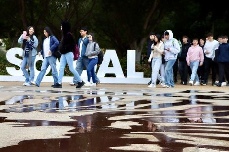 Cinco alumnos de la Universidad de Almería obtienen becas de formación laboral inclusiva