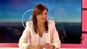 El PSOE reclama al Ayuntamiento que construya viviendas asequibles