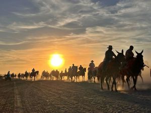 Las hermandades de Almería y El Ejido encabezan el tradicional paso por Villamanrique rumbo al Rocío