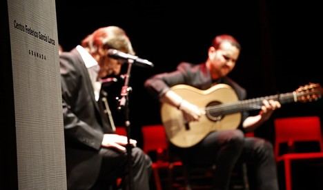 Almería celebra el Día del Flamenco con recitales en El Ejido y Dalías