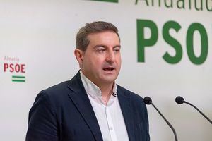 El PSOE exige a Moreno Bonilla actuar ya en El Algarrobico tras el dictamen del Consejo Consultivo