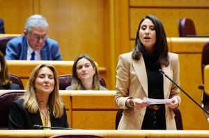 El PP saca adelante en el Senado el tren de cercanías para el Poniente