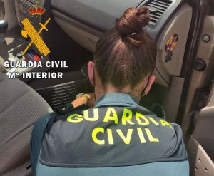 Golpe al narcotráfico en Almería con 26 detenidos y miles de plantas de marihuana incautadas