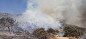 Sábado de fuego y emergencias en el Levante de Almería