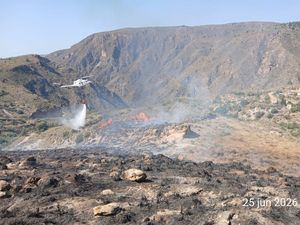 Los equipos de extinción logran controlar el fuego declarado en Berja