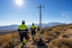 Almería blinda su red eléctrica con un plan forestal masivo contra los incendios