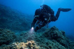 El litoral de Almería se afianza como joya ecológica en el nuevo mapa de conservación marina de Andalucía