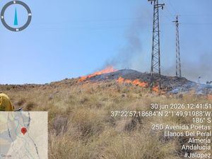 Extinguido el incendio forestal de Antas tras un intenso despliegue de medios aéreos y terrestres