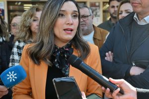 PSOE sospecha de "desmantelamiento" del Infoca en Almería