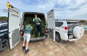 Golpe en Almería a una red internacional que enviaba marihuana a Europa