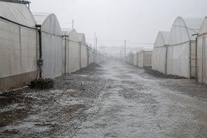 Almería esquiva los 40 grados pero entra en alerta por intensas tormentasptr