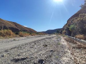 Almería suma 243 kilómetros de vías pecuarias renovadas por el Estado